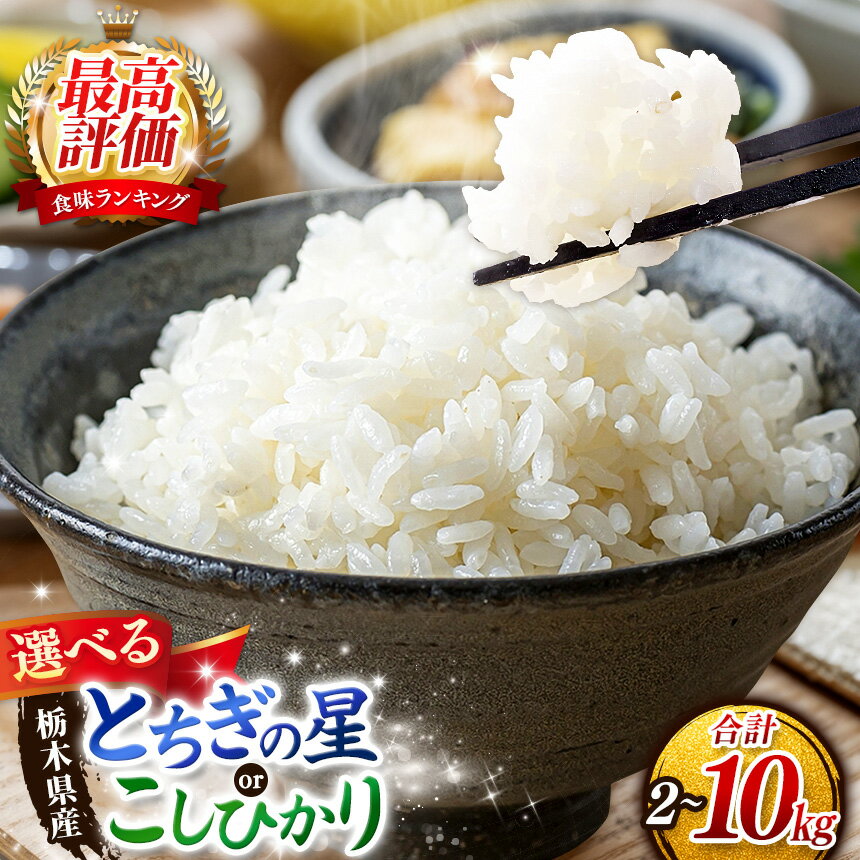 【ふるさと納税】お米 矢板市産 こしひかり とちぎの星 選べる 2kg ～ 10kg【2026年秋 先行予約】 | こめ コメ ご飯 米 容量 3kg 4kg 5kg | 白米 産地直送 美味しい おいしい お弁当 リピート 農家直送 栃木県産 栃木県 矢板市 備蓄
