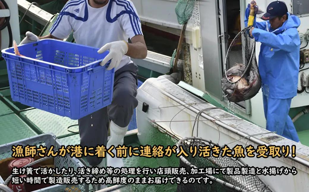 【年5回】お魚よかろうもん！玄界灘・福津の地魚お楽しみ定期便【冷凍】【随時開始】[H7015]