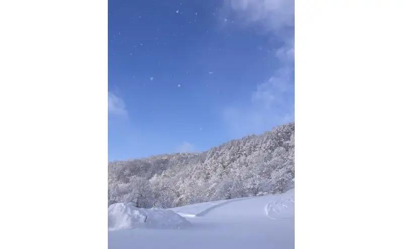 ほろたちスキー場 1回券 5セット スキー場 リフト券 パウダースノー 雪山 ウィンタースポーツ アクティビティ ゲレンデ レジャー チケット 体験 旅行 観光 アウトドア 新雪 北海道 幌加内町