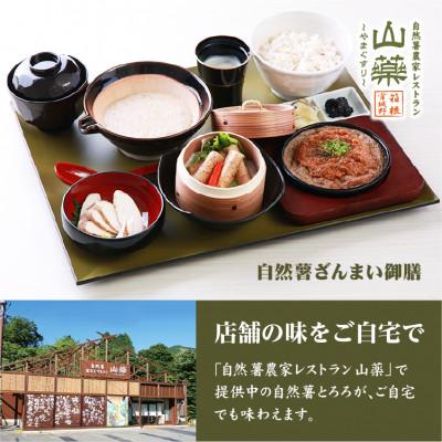 ふるさと納税 小田原市 自然薯味付とろろ　10パックセット(100g×10p) |  | 03