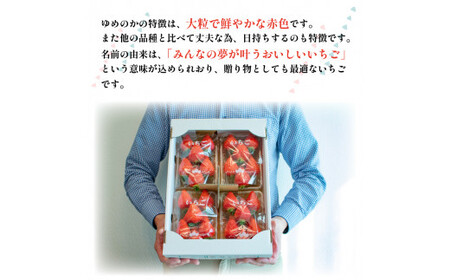 いちご ゆめのか 1kg 以上 （270g×4パック） いちご 果物 フルーツ ストロベリー スイーツ トースト ヨーグルト 先行予約 阿波市 徳島県 