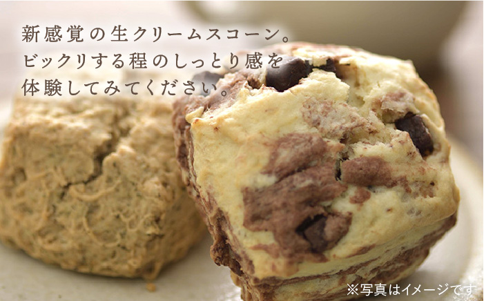【ご自宅用】定番スコーン+明太チーズスコーン 計12個セット《糸島》【キナフク】 [AFA011]