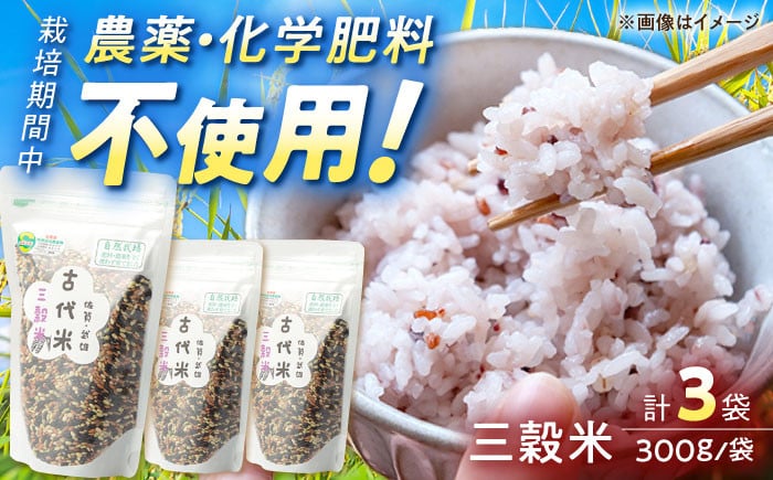 
            【12月25日入金まで年内発送】古代米 三穀米 （黒米・赤米・緑米） 900g（300g×3袋）/永尾 忠則 [UAS002] 雑穀 雑穀米 米 お米【自然農法で育てた】 
          