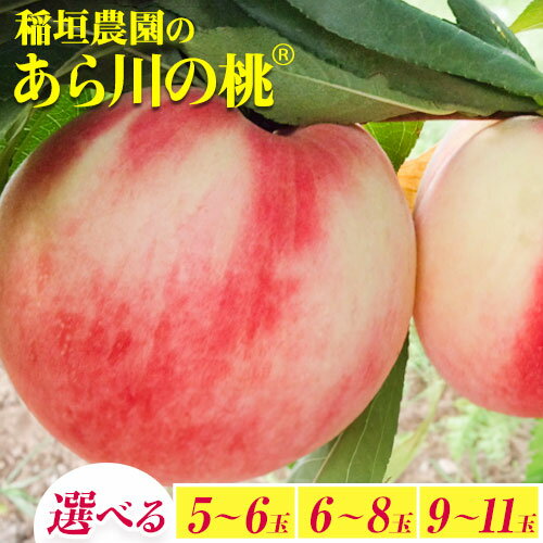 【先行予約】【ふるさと納税】桃 あら川の桃（白鳳・なつっこ・川中島の中から旬の桃をお届け）選べる内容量 5-6玉(ギフトボックス小) 6-8玉(ギフトボックス中) 9-11玉(ギフトボックス大) 稲垣農園《2025年7月上旬-8月末頃出荷》 和歌山県 紀の川市 桃 もも 旬