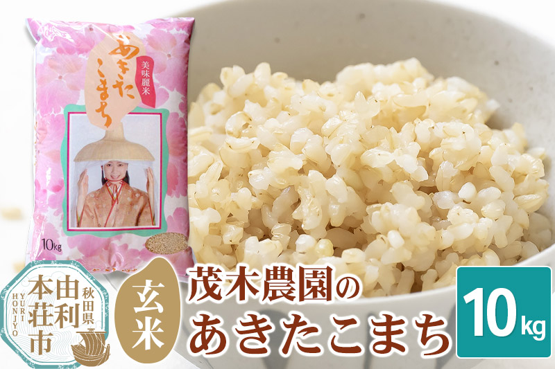 《令和7年産》【玄米】10kg あきたこまち 秋田県産 茂木農園のあきたこまち 玄米 10kg