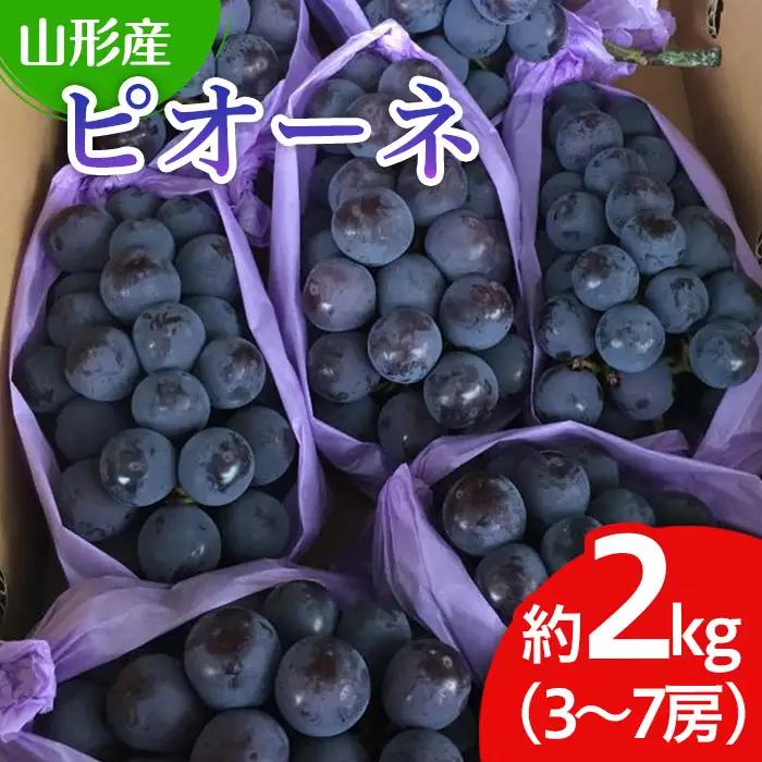 山形市産 ぶどう(ピオーネ) 秀 2kg(3?7房)[後半] 【令和8年産先行予約】FU22-038 くだもの 果物 フルーツ 山形 山形県 山形市 2026年産