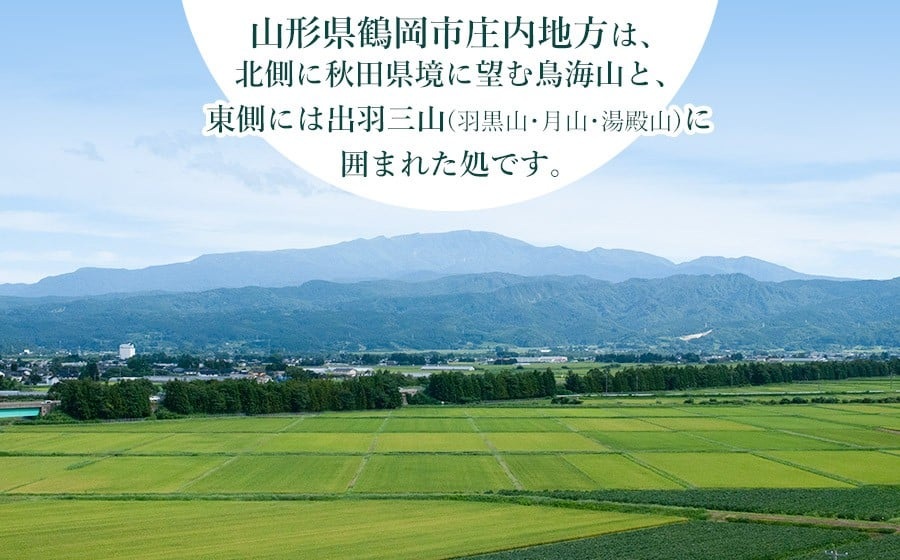 【令和7年産】【新米】 特別栽培米つや姫5kg＋雪若丸5kgセット　山形県庄内産　鶴岡米穀商業協同組合