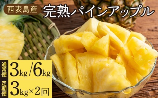 
                  【内容量・配送回数が選べる】2026年 先行予約 完熟 パインアップル 約3~6kg /定期便 2ヶ月 水鴨農園 パイン パイナップル 果物 フルーツ
                
