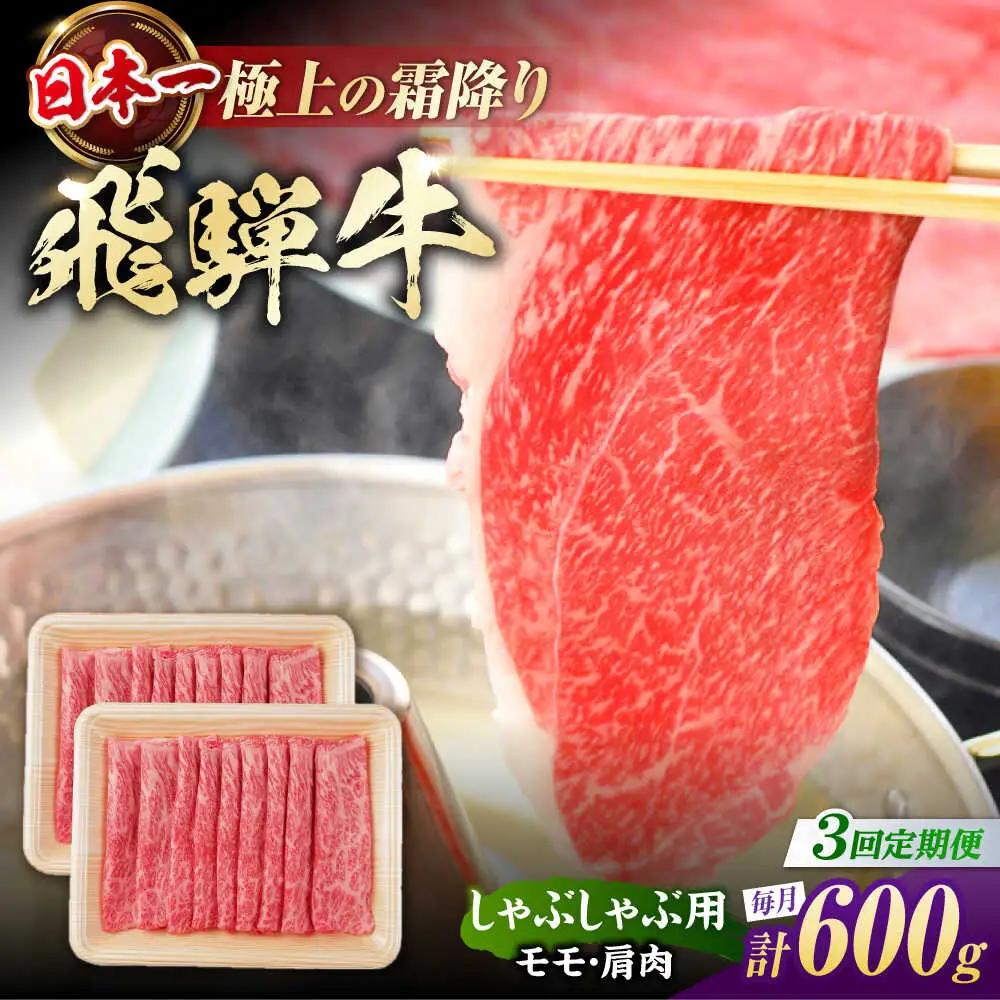 【3回定期便】飛騨牛 牛しゃぶ用赤身 600g / 浅井商店[AWBJ018] 飛騨牛