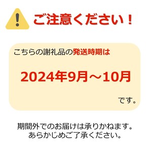 【2024年9～10月発送】長井市伊佐沢のぶどう職人が作るシャインマスカット約1.2kg（2房）_H203(R6)