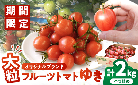 先行予約≪期間限定≫オリジナルブランド「フルーツトマトゆき」計2kg ミニトマト 野菜 サラダ 国産_T047-0041