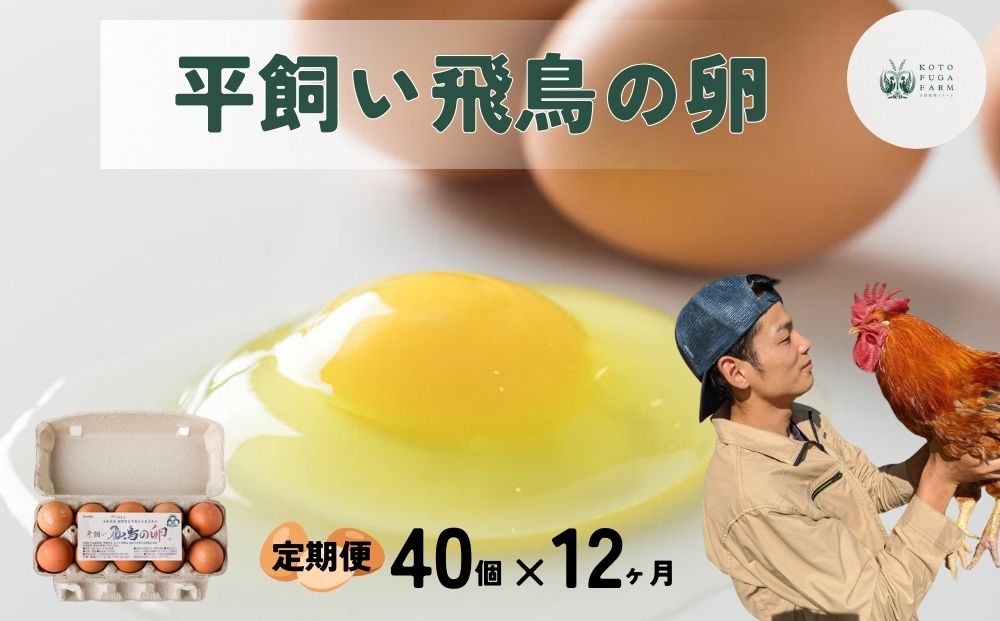 【毎月定期便／12ヶ月】平飼い飛鳥の卵 40個／ 卵 たまご 玉子 生卵 鶏卵 生たまご たまごかけごはん 卵焼き 目玉焼き 冷蔵 チルド 古都風雅ファーム 奈良県 宇陀市 ふるさと納税
