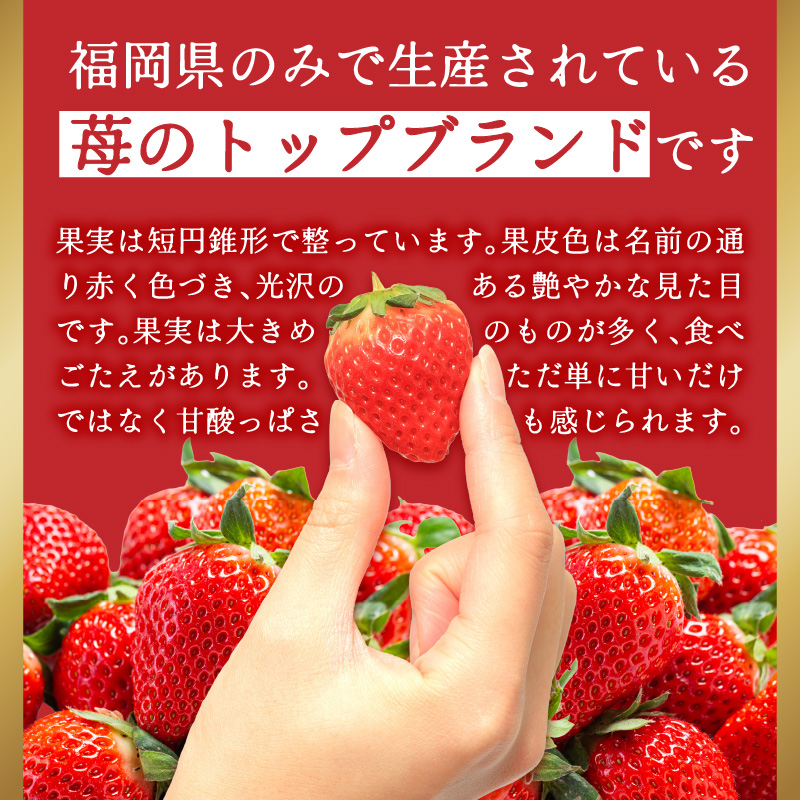 福岡県産あまおう 約250g×2パック  いちご イチゴ 苺 あまおう フルーツ 果物 くだもの 250g 2パック 福岡県 八女市