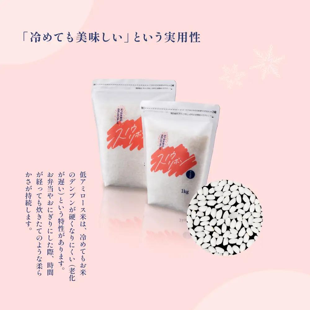 【2025年産米】スノウリボン（ゆきむすび）5kg×1袋【13-53】