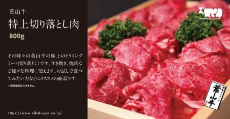 カタログギフト 冨士屋牛肉店 葉山牛 選べる！贈れる！特選牛肉 カタログ ギフト 牛肉 和牛