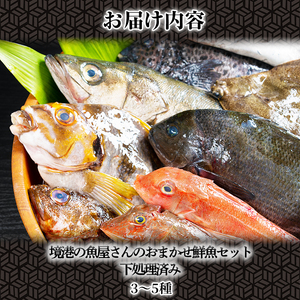 ＜平日着※指定日不可＞境港の魚屋さんのおまかせ鮮魚セット(3～5種) 下処理済み 海鮮 鮮魚 詰め合わせ 海の幸【sm-DD013・sm-DD014】【Workplays】