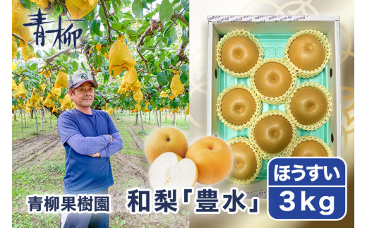 【2026年先行予約】青柳果樹園の和梨 豊水 3kg（4～6玉）《9月上旬～順次出荷》 果物 ほうすい フルーツギフト 加茂市 青柳果樹園