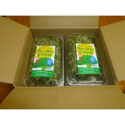 ふるさと納税 久米南町 ブロッコリースプラウト　40g×10パック |  | 01