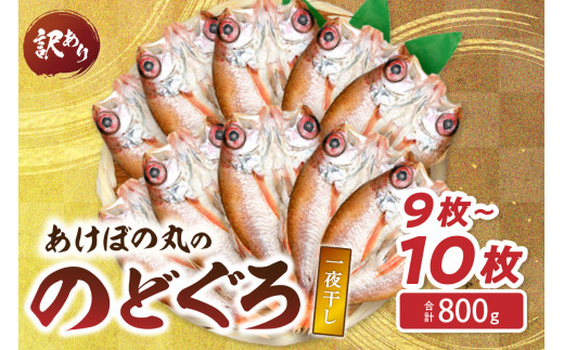 【訳あり数量限定】あけぼの丸ののどぐろ一夜干し800ｇ（9～10枚） 【146_2018】