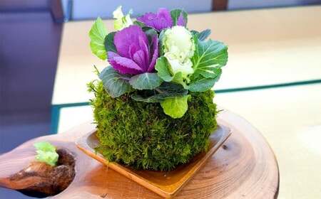 苔テラリウムの制作体験チケット 1名様 