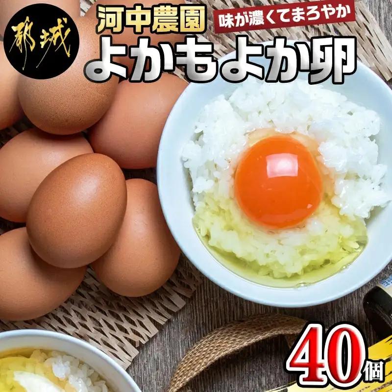 よかもよか卵40個_11-29-010-40_(都城市) 赤卵Mサイズ 破損補償(5個追加) 生卵 鶏卵 玉子 タマゴ たまご 新鮮 濃厚 宮崎県産 家庭用 卵かけご飯 シフォンケーキ たまご焼き オムレツ お料理・お菓子作りに