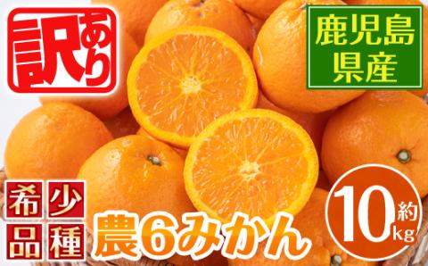 i594 ＜2026年3月下旬～6月中旬の間に発送予定＞《傷ありのため訳あり》農6みかん(約10kg) 果物 フルーツ 柑橘 国産 鹿児島県産 みかん 蜜柑 【江崎果樹園】