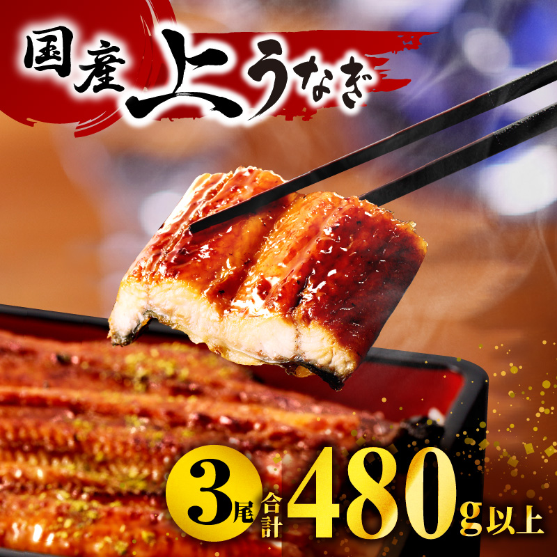 九州産うなぎ蒲焼3尾（計480g以上＆さんしょう,たれ付き）_M040-012