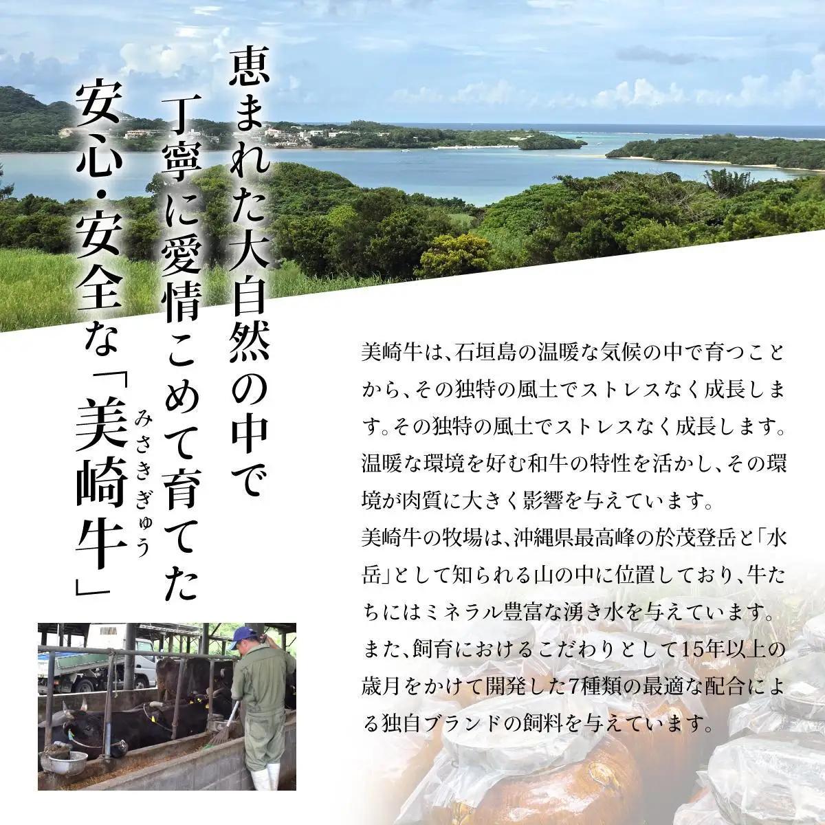 美崎牛 焼肉5種＆特製ハンバーグ