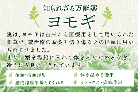 ヨモジンジャーシロップ 225ml×2本 A-TeaM《60日以内に順次出荷（土日祝除く）》熊本県 葦北郡 津奈木町 シロップ　よもぎ 蓬 万能薬草
