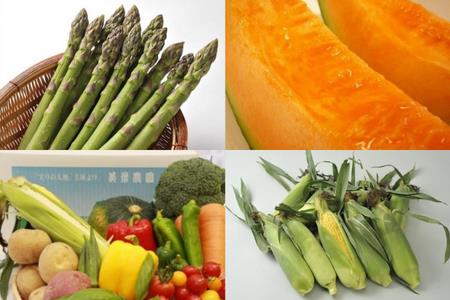 ≪令和７年産予約受付！≫美景農園　野菜の定期便（６回）[080-28]