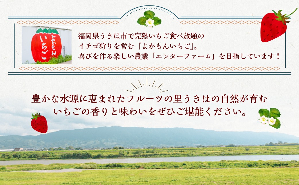 よかもんいちごの朝採りいちご 700g