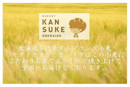 【定期便】こだわりの石窯で焼いたカンスケの北海道産小麦お任せパンセット（年12回お届け）【19119】