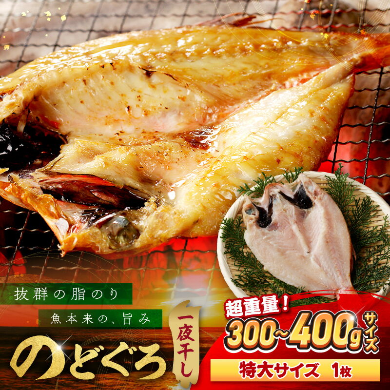 【ふるさと納税】のどぐろ一夜干し無添加個包装1枚 「超希少サイズ・特大型300g超重量」産地直送 干物 魚 一夜干し 人気 大きい 天然 ボリューム ノドグロ 【005_0130】