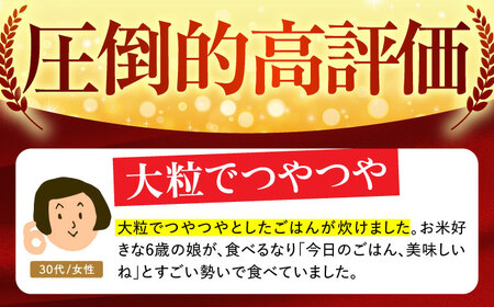 【全3回定期便】さがびより 白米 10kg（5kg×2袋）【五つ星お米マイスター厳選】特A評価 特A 特A米 米 定期便 お米 佐賀 [HBL041]