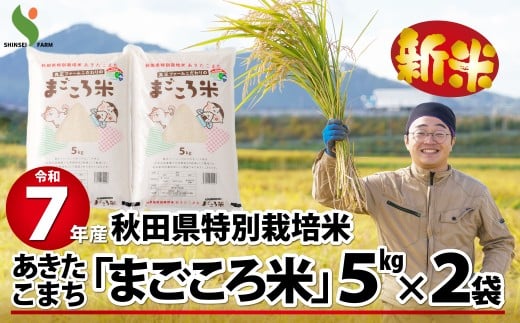 【新米】令和7年産秋田県特別栽培米あきたこまち「まごころ米」10kg 150P9020　/ 米 10kg あきたこまち 令和7年産 特別栽培米 まごころ米 秋田県 お米 弁当 おにぎり 大館 東北 秋田 小分け こわけ 大館市 10キロ 10ｷﾛ 10きろ