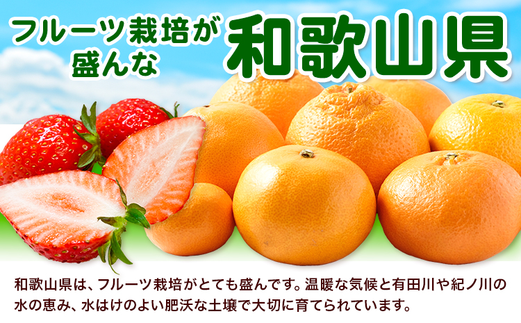 わかやま旬の フルーツ 定期便 【全3回】内容量 S 有田マルシェ《発送月固定・全3回出荷》 和歌山県 日高町 苺 いちご 柑橘 オレンジ 小玉 スイカ レモン みかん 有田 みかん 柿 果物 定期 