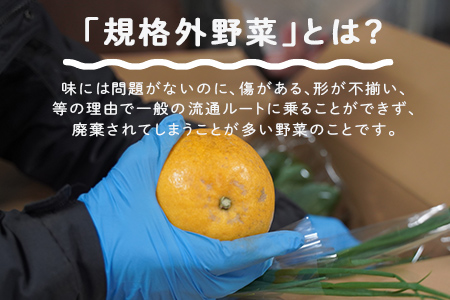 多数のメディアで紹介されました！【訳あり】旬のもったいないお野菜詰め合わせセット　Sサイズ Sサイズ
