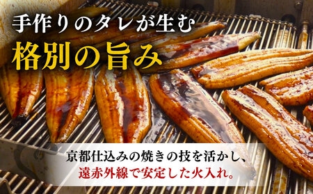 【 うなぎの蒲焼き 】 うなぎの蒲焼 定期便 計4尾 ( 220g × 2尾 × 2回 )
