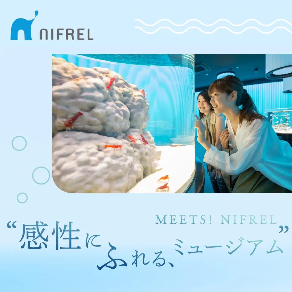 【大人2枚】生きているミュージアムNIFREL入館券