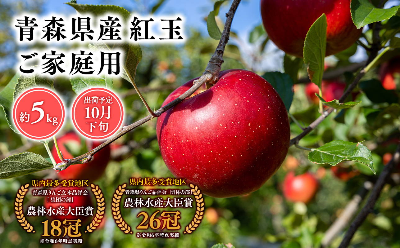 2026年産１０月発送　【訳あり】家庭用紅玉5kg【青森県 平川市 そと川りんご園】