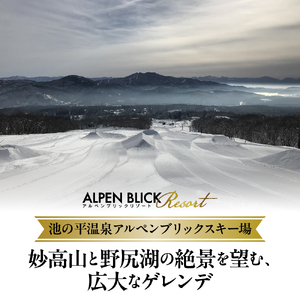 池の平温泉アルペンブリックスキー場　リフト1日券（ICカード引換券）3枚 2025 - 2026 シーズン スキー スノーボード リフト券 妙高山 野尻湖 ゲレンデ アウトドア スポーツ 冬 チケット