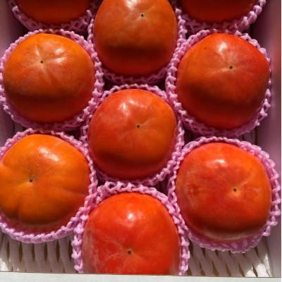 ふるさと納税 朝倉市 福岡県朝倉市産「志波柿(富有)」  M〜2Lサイズ×約10〜12個入 |  | 02