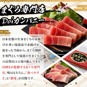 ＜数量限定＞境港産本まぐろ赤身セット(計約300g)  赤身 マグロ 本マグロ まぐろ 本まぐろ 鮪 魚介 海鮮 海の幸 冷凍 【sm-DM002】【Doiカンパニー】