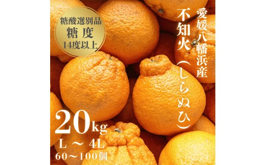 ＜糖度14.0以上酸1.4以下＞糖酸選別品 愛媛産 不知火 (しらぬひ) 20kg＜H20-93＞【1625296】 YWTI088