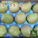 【ふるさと納税】西洋梨（ラ・フランス） 3kg ご家庭用 8～12玉 4L～L 果物 フルーツ 洋梨 お取り寄せ 産地直送 送料無料 秋 旬 山形県 上山市 0017-2416