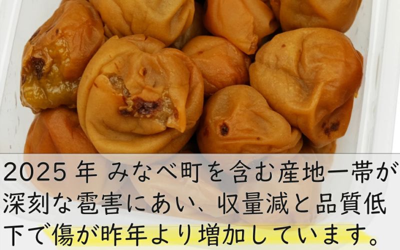 訳あり 無添加 梅干し 紀州梅香の減塩3%つぶれ梅 約1kg(500g x 2) 中~大粒 はねだし梅 紀州南高梅 産直) 3-G【baiko005A】