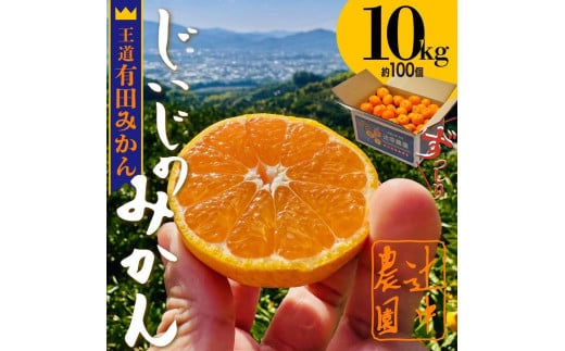 
本場有田みかん じぃじのみかん10kg
