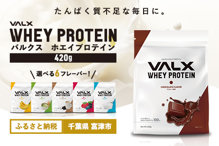 【最短5営業日以内発送】VALX ホエイプロテイン 420g チョコレート風味 プロテイン チョコレート チョコ