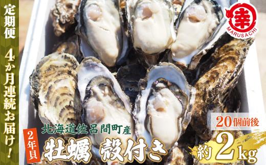 【先行受付】カキ 殻付き 2年貝 約2kg（20個前後） 佐呂間産 ［4回定期便］（10月中旬以降順次発送開始予定） SRMA040