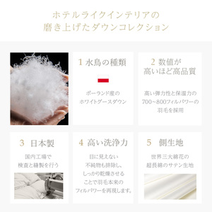 800FP本掛け　シングル（ポーランド産ホワイトマザーグースダウン使用）